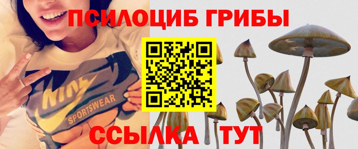 купить закладку  Псилоцибиновые грибы Psilocybine cubensis  Вход с VPN  Псилоцибиновые грибы Psilocybine cubensis  Обь 